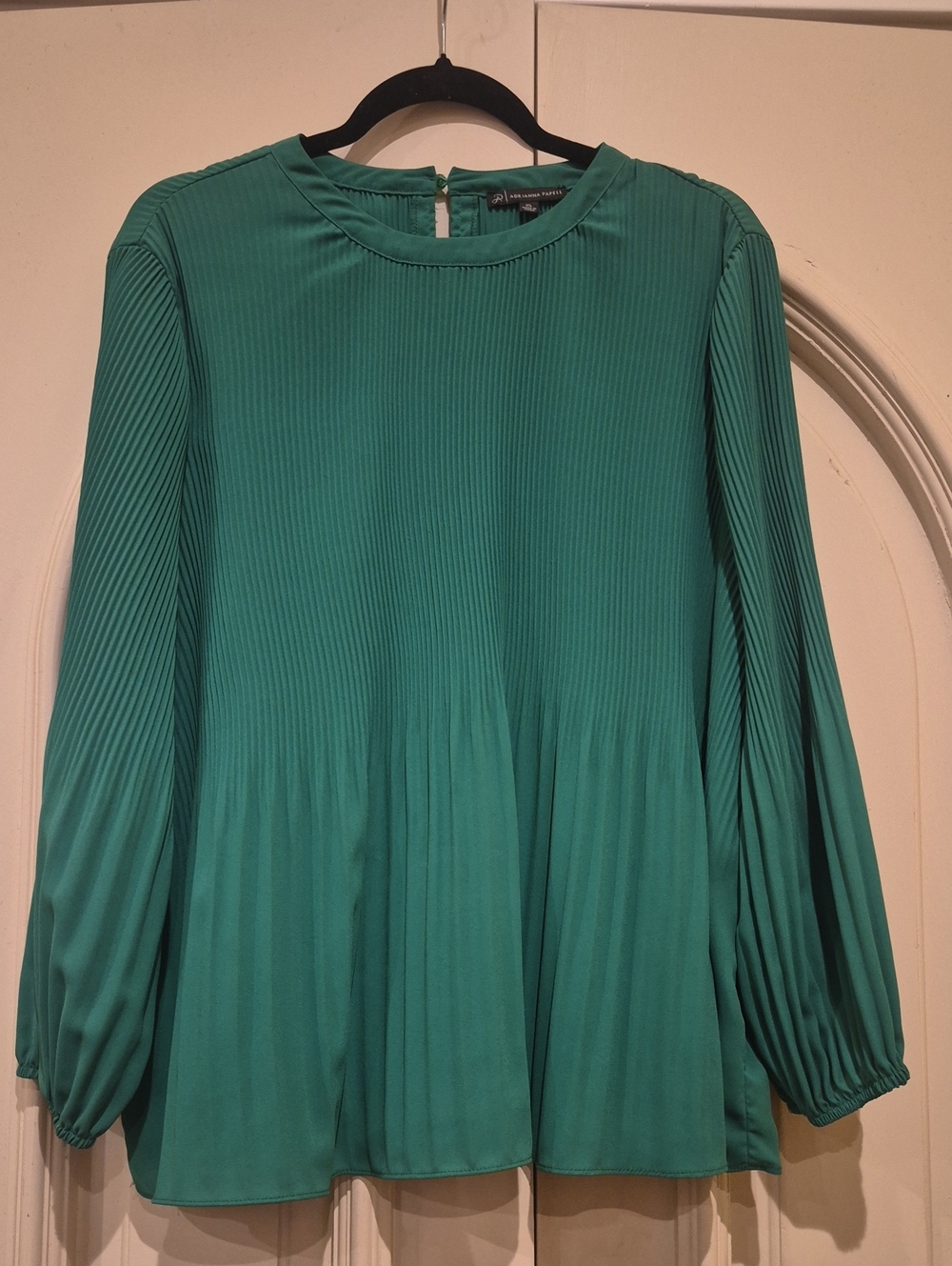 Adrianna Papell Teal Pleated Long-Sleeve Blouse